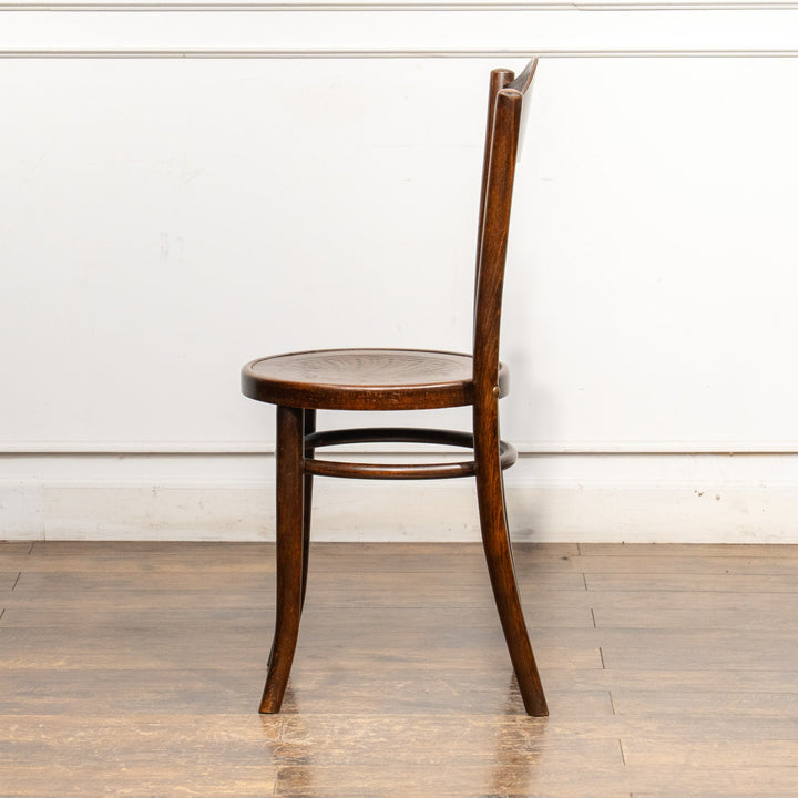 【Mundus ムンダス】シェルモチーフのエンボス加工が美しい パネルバック ベントウッドチェア /25G-6