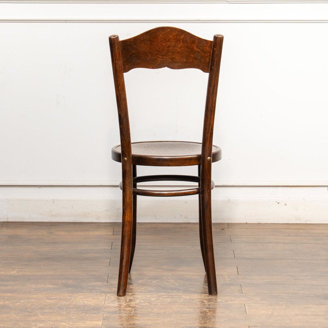 【Mundus ムンダス】シェルモチーフのエンボス加工が美しい パネルバック ベントウッドチェア /25G-6