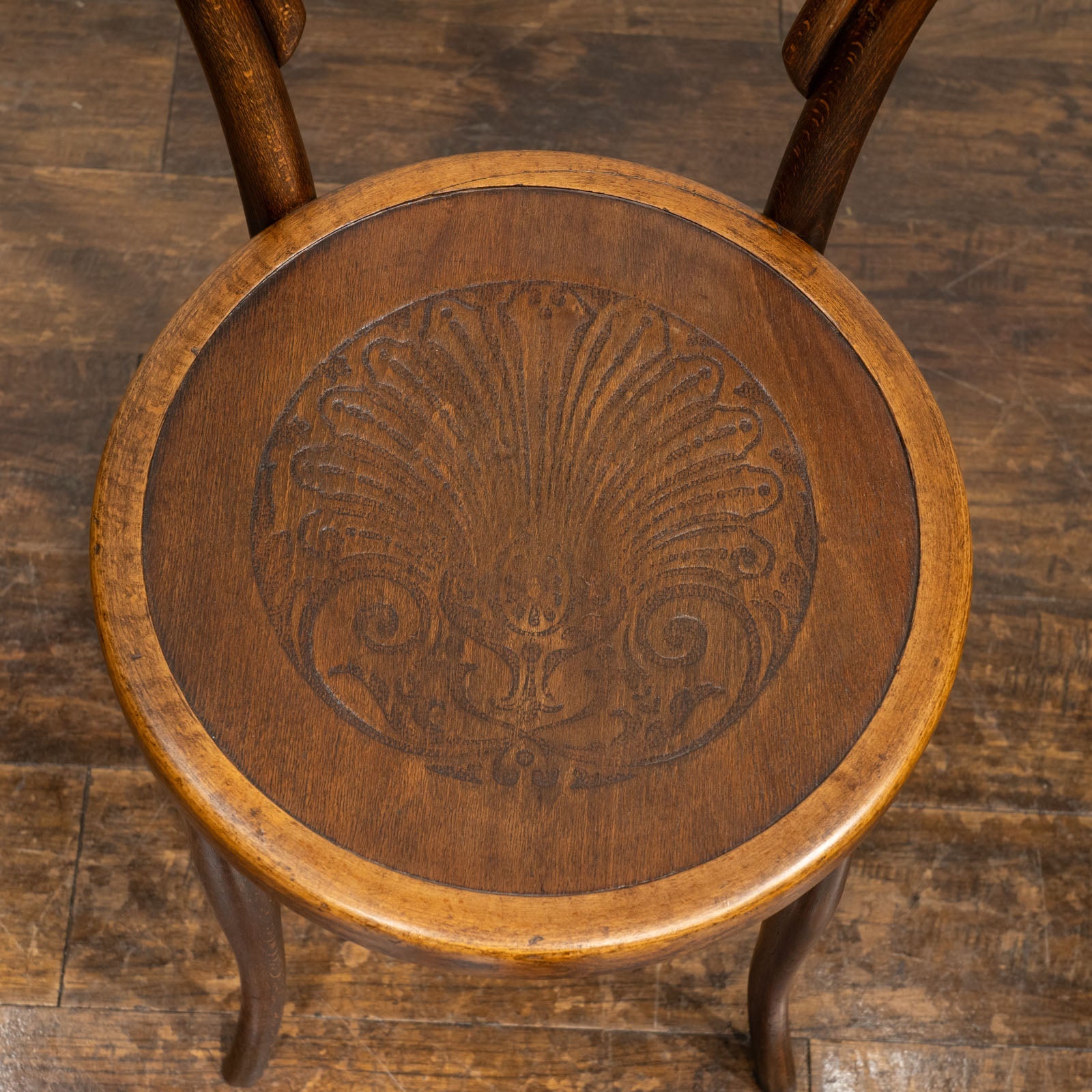 背もたれの曲線や座面の彫りも美しい ダブルループバック ベントウッド