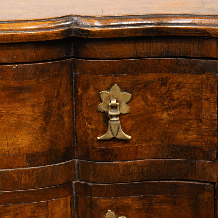 深いブラウンの色味にサーペンタインのデザインが上品 6段チェスト /25G