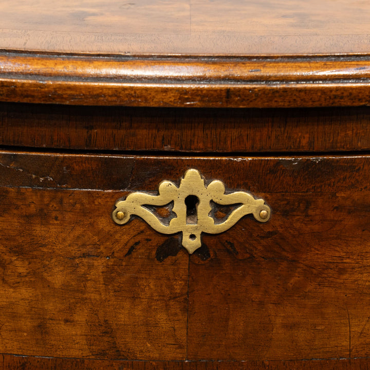 深いブラウンの色味にサーペンタインのデザインが上品 6段チェスト /25G