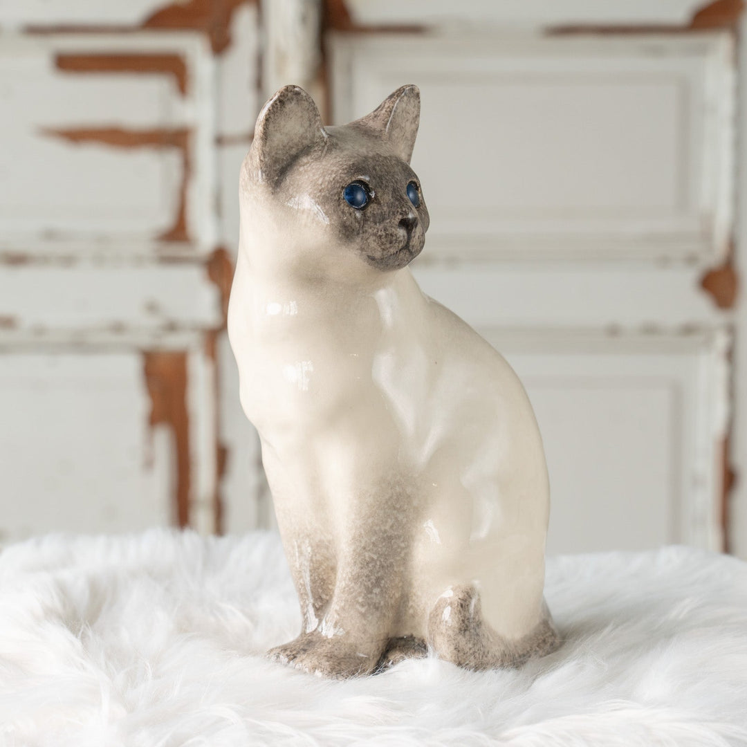 【Winstanley Cat ウィンスタンレイ キャット】おすまし顔でこちらを見つめる ブルーアイ サイアミーズ シャム猫 /25J