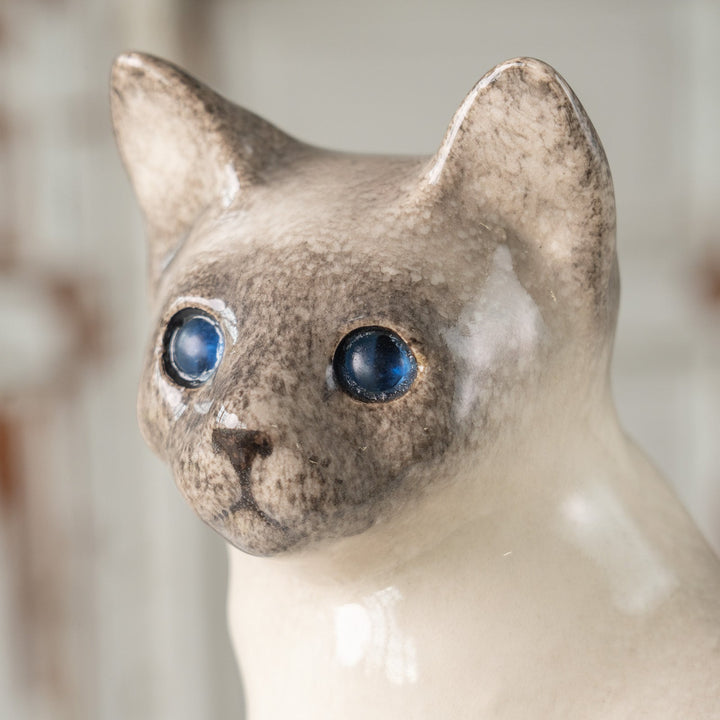【Winstanley Cat ウィンスタンレイ キャット】おすまし顔でこちらを見つめる ブルーアイ サイアミーズ シャム猫 /25J