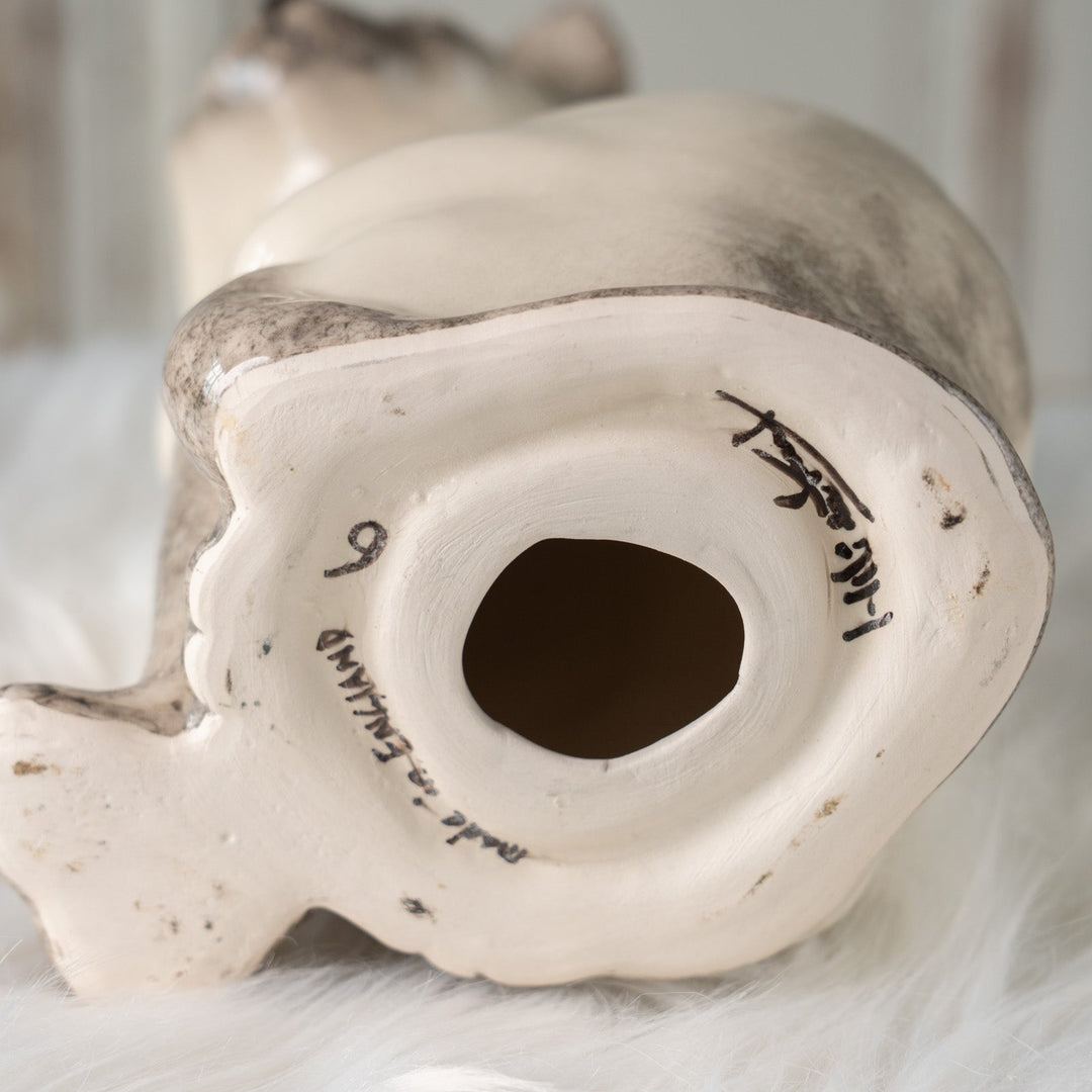 【Winstanley Cat ウィンスタンレイ キャット】おすまし顔でこちらを見つめる ブルーアイ サイアミーズ シャム猫 /25J