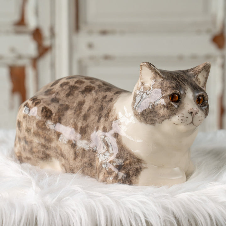 【Winstanley Cat ウィンスタンレイ キャット】香箱座りでリラックスした表情が愛おしい シルバータビー サバトラ猫 /25J