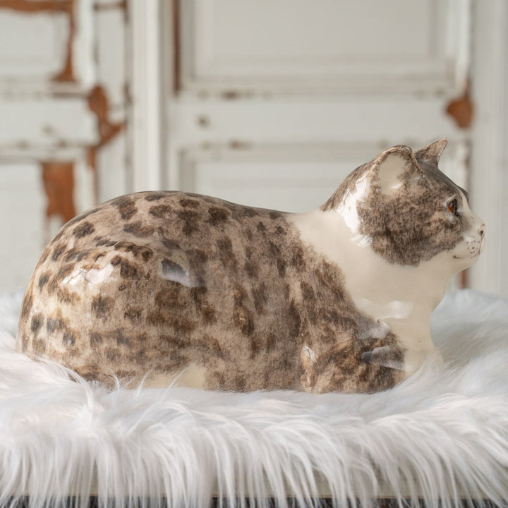 【Winstanley Cat ウィンスタンレイ キャット】香箱座りでリラックスした表情が愛おしい シルバータビー サバトラ猫 /25J