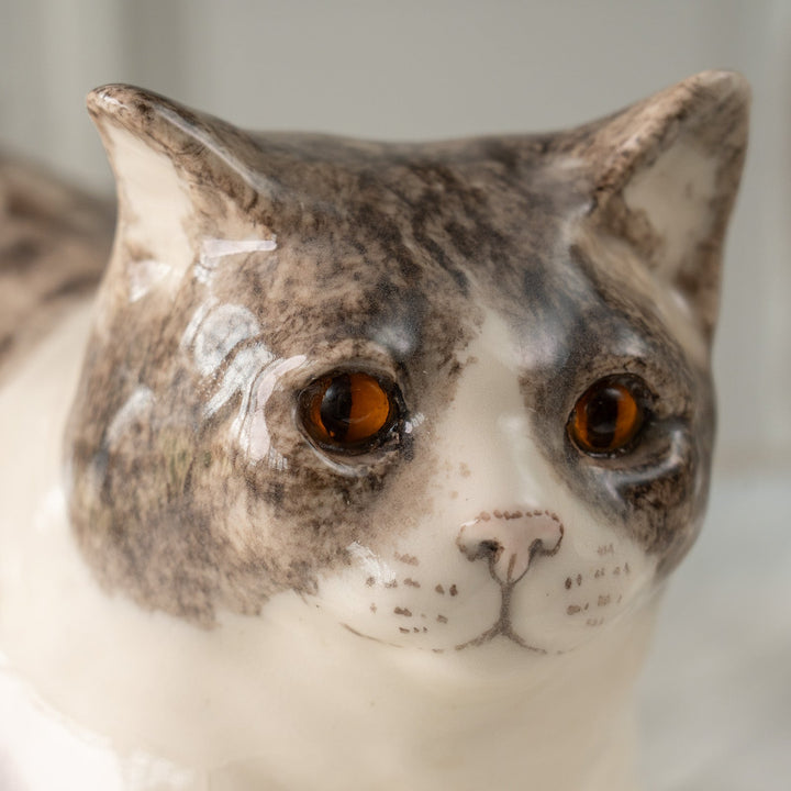 【Winstanley Cat ウィンスタンレイ キャット】香箱座りでリラックスした表情が愛おしい シルバータビー サバトラ猫 /25J