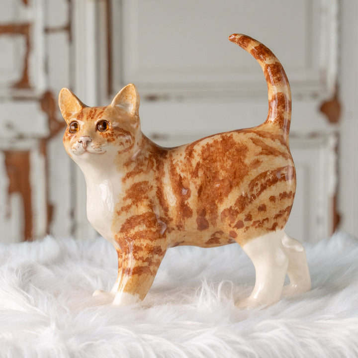 【Winstanley Cat ウィンスタンレイ キャット】ピンと伸びたしっぽが印象的 ジンジャー 茶トラ猫 /25J