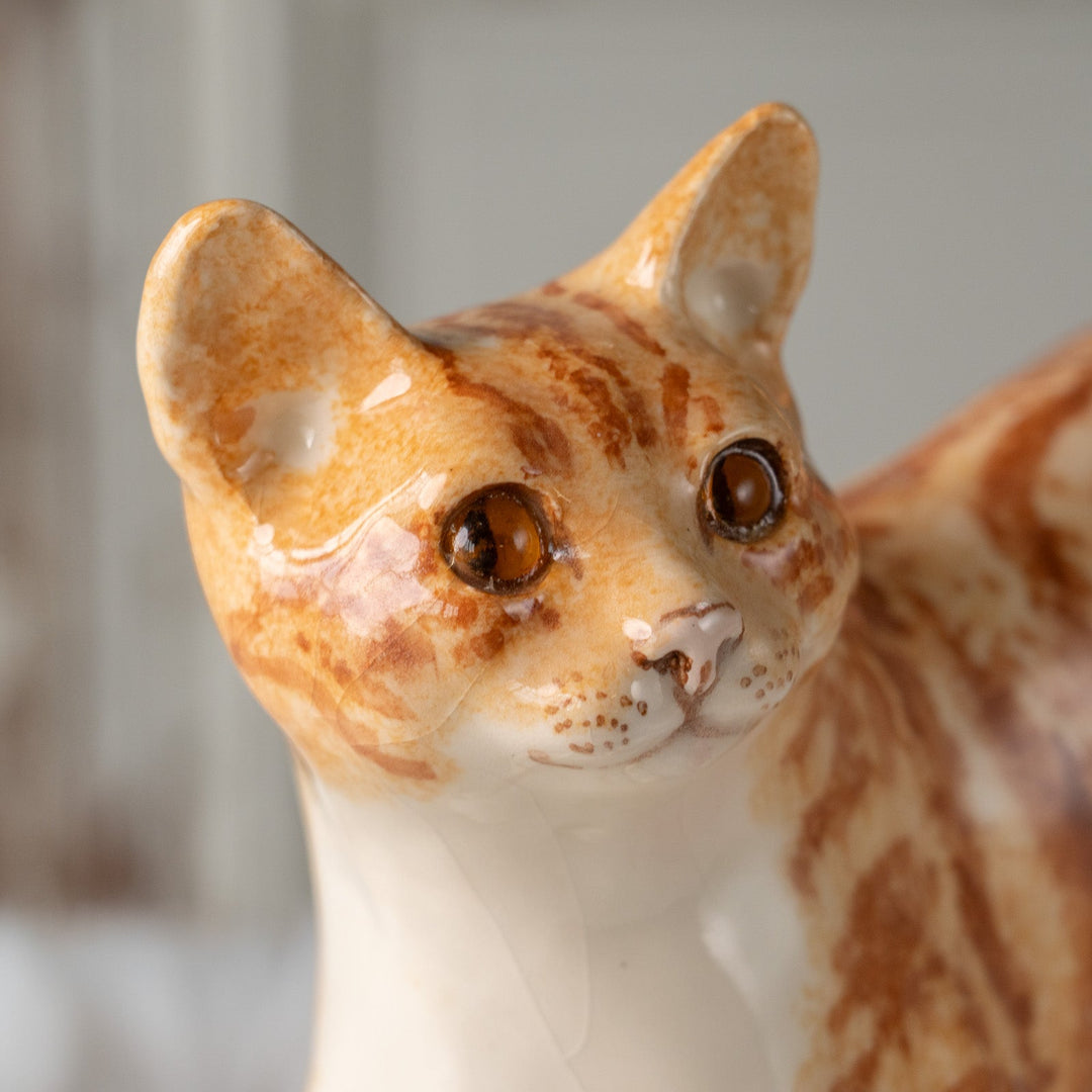 【Winstanley Cat ウィンスタンレイ キャット】ピンと伸びたしっぽが印象的 ジンジャー 茶トラ猫 /25J