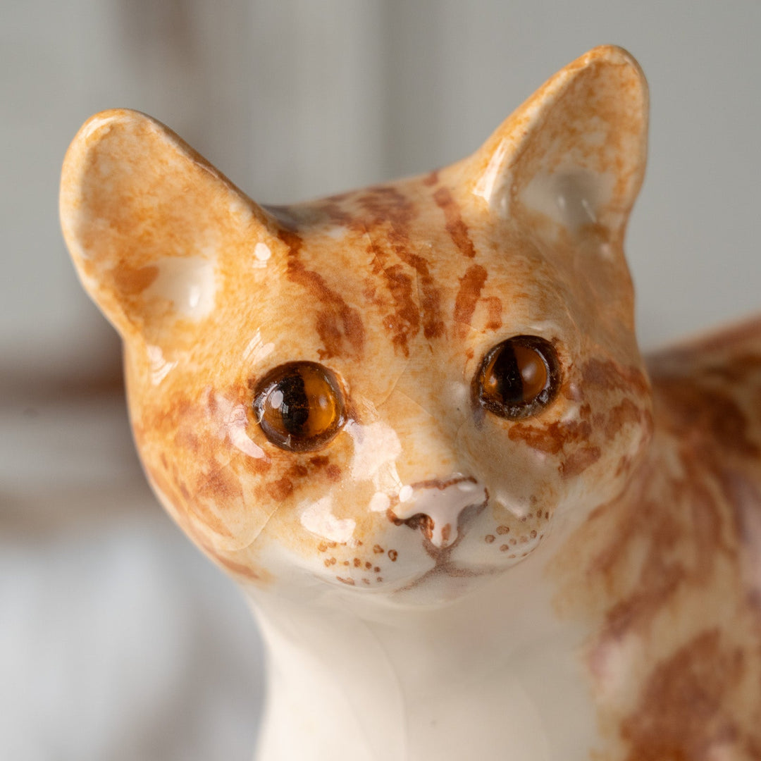 【Winstanley Cat ウィンスタンレイ キャット】ピンと伸びたしっぽが印象的 ジンジャー 茶トラ猫 /25J