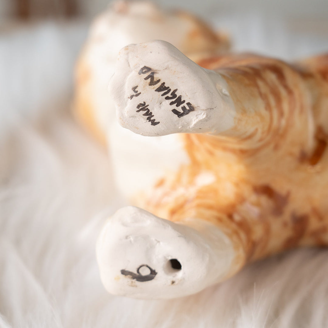 【Winstanley Cat ウィンスタンレイ キャット】ピンと伸びたしっぽが印象的 ジンジャー 茶トラ猫 /25J