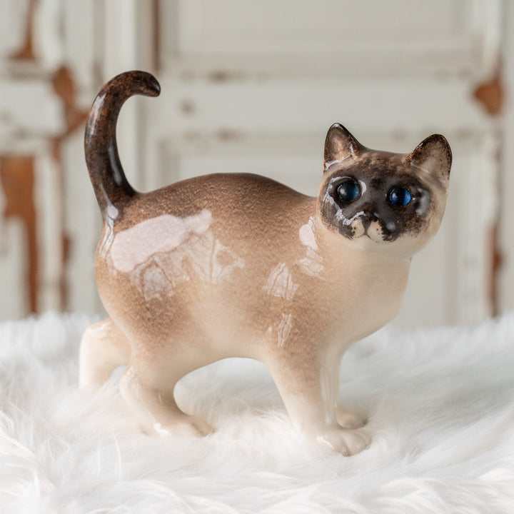 【Winstanley Cat ウィンスタンレイ キャット】丸い顔にくるんとした尻尾がチャーミング ブルーアイ サイアミーズ シャム猫 /25J