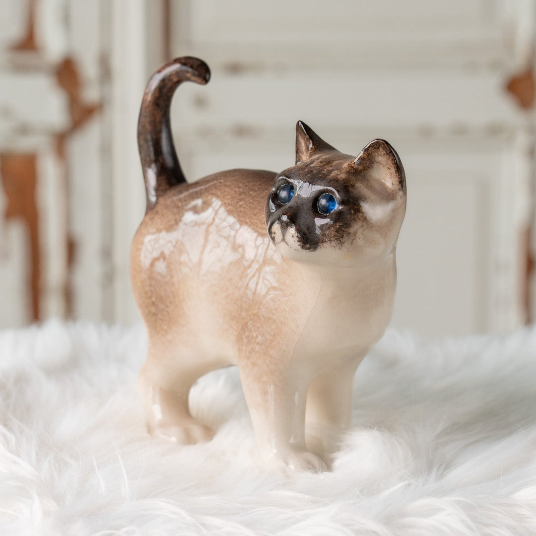 【Winstanley Cat ウィンスタンレイ キャット】丸い顔にくるんとした尻尾がチャーミング ブルーアイ サイアミーズ シャム猫 /25J