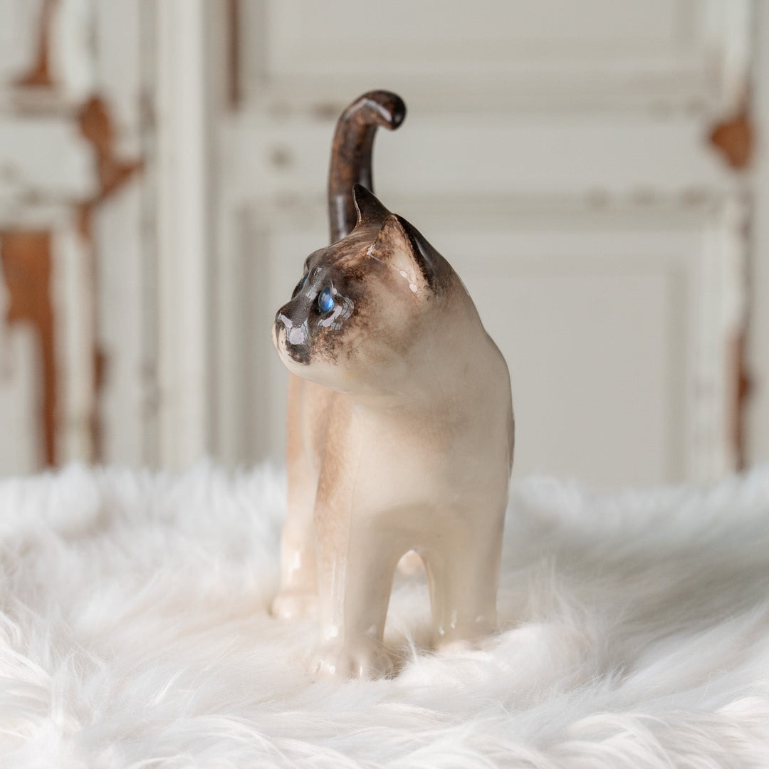 【Winstanley Cat ウィンスタンレイ キャット】丸い顔にくるんとした尻尾がチャーミング ブルーアイ サイアミーズ シャム猫 /25J