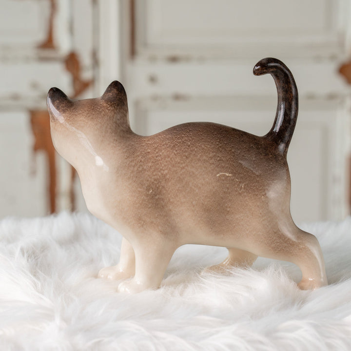 【Winstanley Cat ウィンスタンレイ キャット】丸い顔にくるんとした尻尾がチャーミング ブルーアイ サイアミーズ シャム猫 /25J