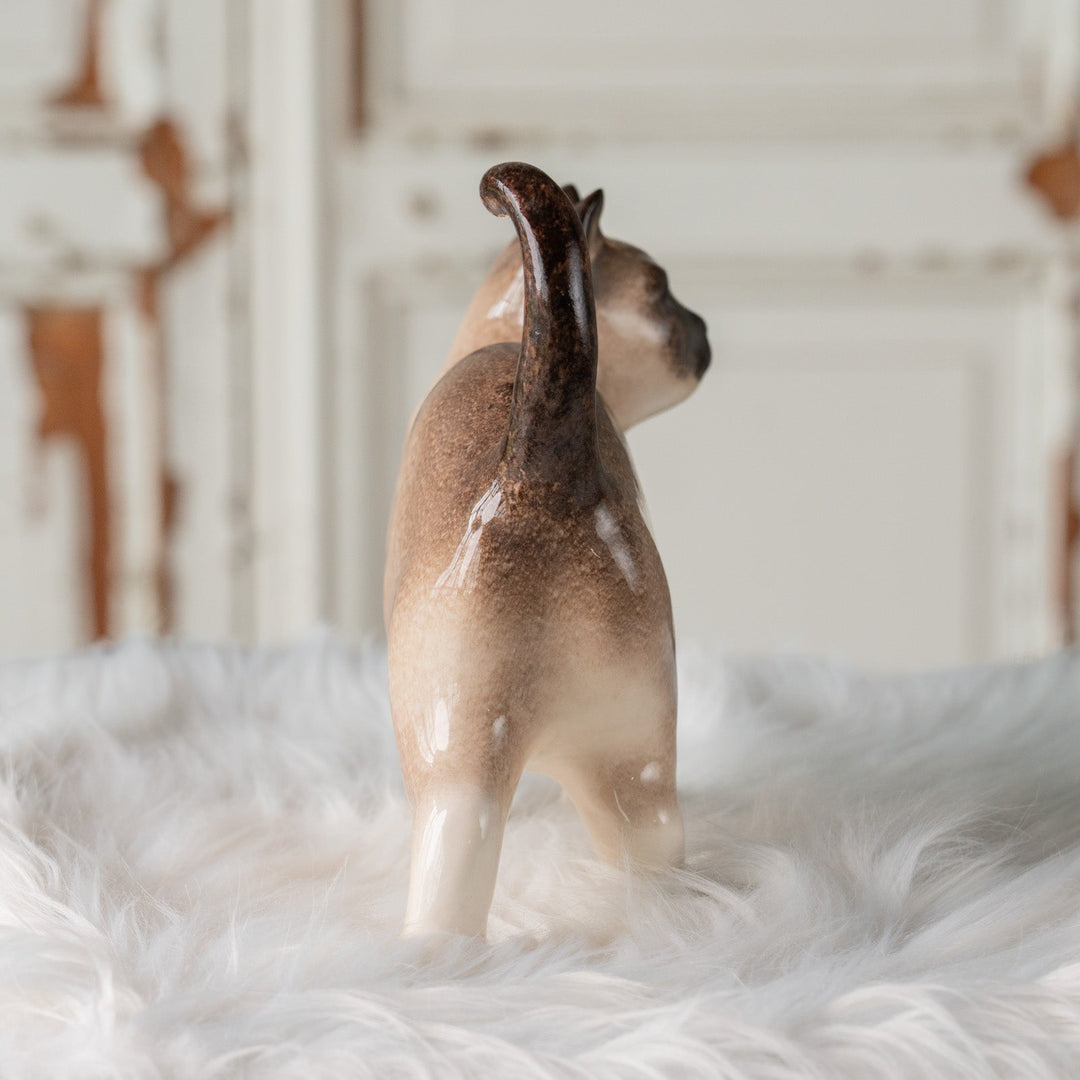 【Winstanley Cat ウィンスタンレイ キャット】丸い顔にくるんとした尻尾がチャーミング ブルーアイ サイアミーズ シャム猫 /25J