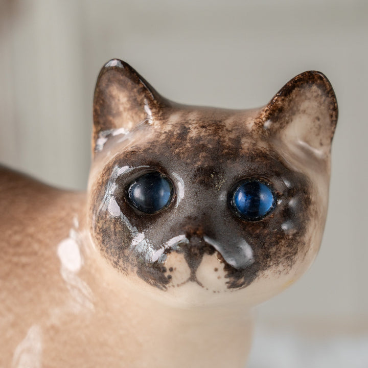 【Winstanley Cat ウィンスタンレイ キャット】丸い顔にくるんとした尻尾がチャーミング ブルーアイ サイアミーズ シャム猫 /25J