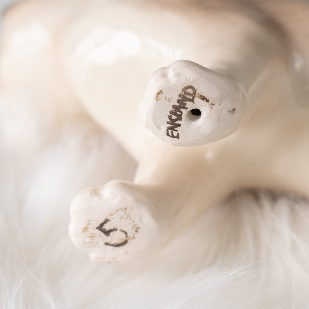 【Winstanley Cat ウィンスタンレイ キャット】丸い顔にくるんとした尻尾がチャーミング ブルーアイ サイアミーズ シャム猫 /25J