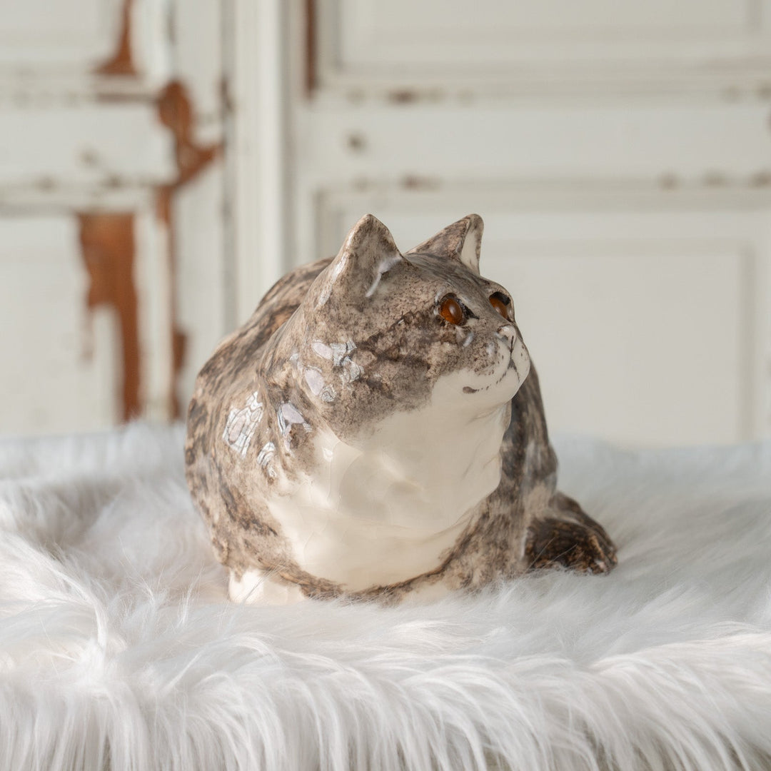 【Winstanley Cat ウィンスタンレイ キャット】ぽってりとした背中の丸いフォルムが可愛い シルバータビー 長毛 サバトラ猫 /25J