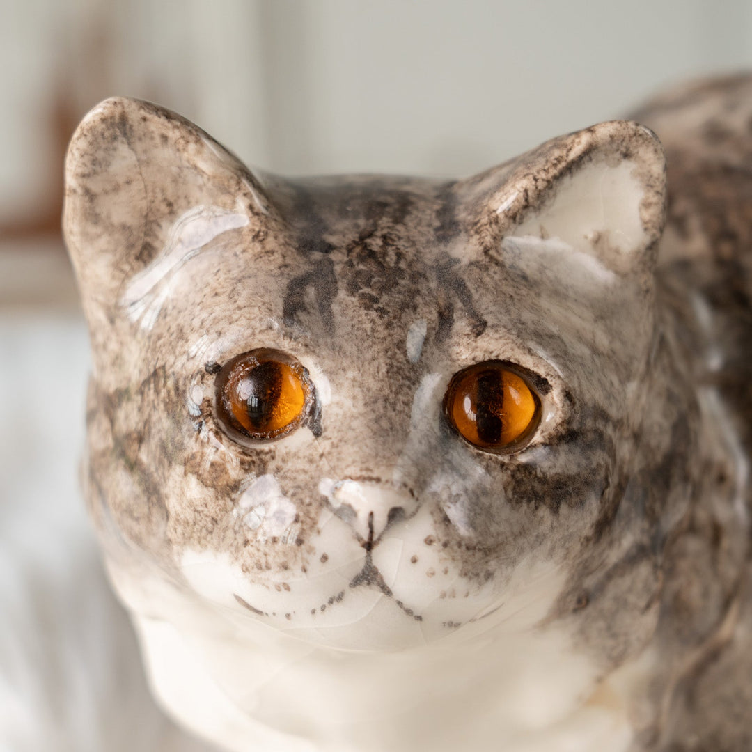 【Winstanley Cat ウィンスタンレイ キャット】ぽってりとした背中の丸いフォルムが可愛い シルバータビー 長毛 サバトラ猫 /25J