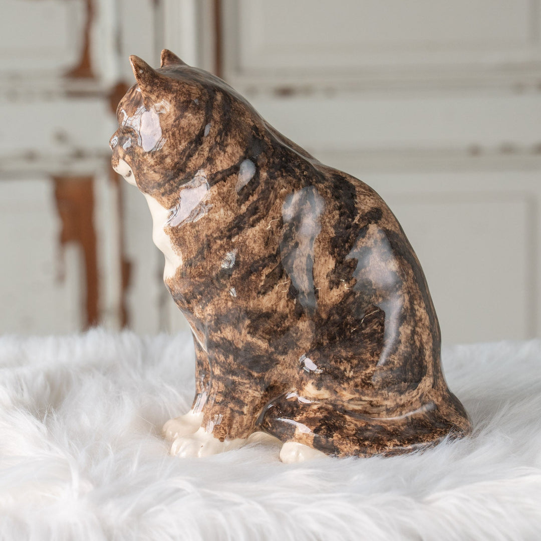 【Winstanley Cat ウィンスタンレイ キャット】ずんぐりしたフォルムがたまらない愛らしさ ブラウンタビー 茶トラ猫  /25J