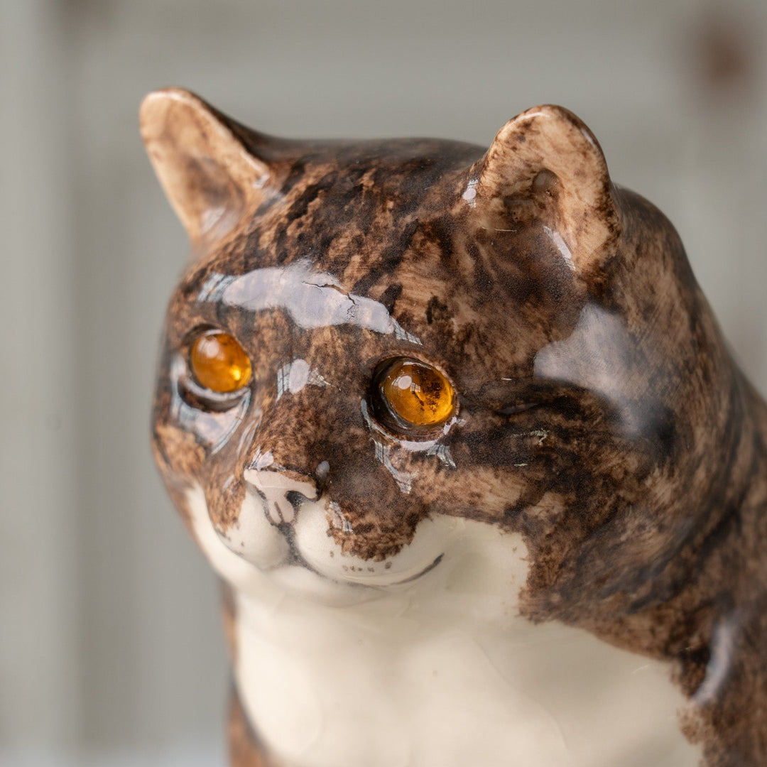 【Winstanley Cat ウィンスタンレイ キャット】ずんぐりしたフォルムがたまらない愛らしさ ブラウンタビー 茶トラ猫  /25J