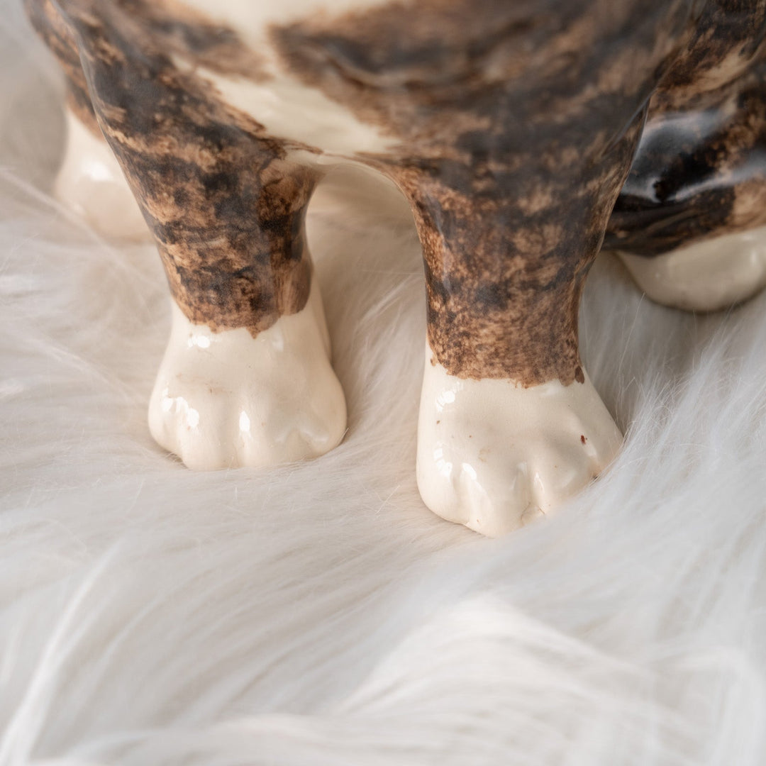 【Winstanley Cat ウィンスタンレイ キャット】ずんぐりしたフォルムがたまらない愛らしさ ブラウンタビー 茶トラ猫  /25J