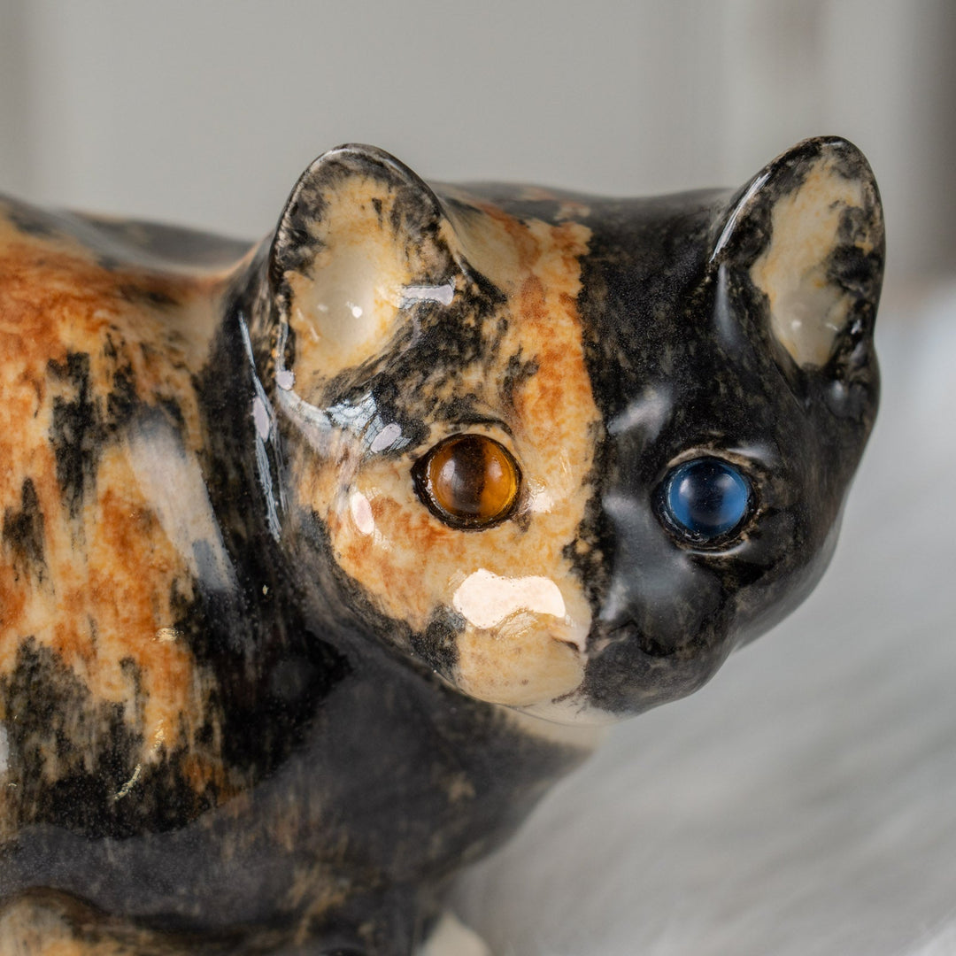 【Winstanley Cat ウィンスタンレイ キャット】丸い背中をなでたくなる オッドアイトータスシェル サビ猫 /25J