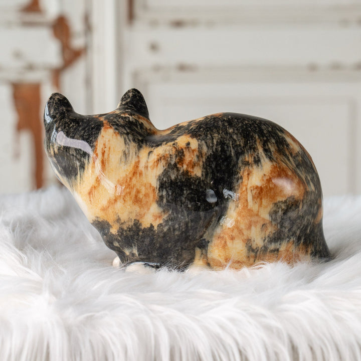 【Winstanley Cat ウィンスタンレイ キャット】丸い背中をなでたくなる オッドアイトータスシェル サビ猫 /25J