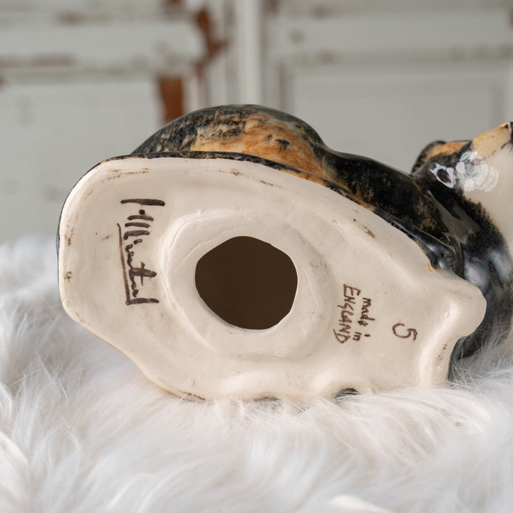 【Winstanley Cat ウィンスタンレイ キャット】丸い背中をなでたくなる オッドアイトータスシェル サビ猫 /25J