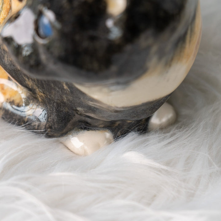 【Winstanley Cat ウィンスタンレイ キャット】丸い背中をなでたくなる オッドアイトータスシェル サビ猫 /25J