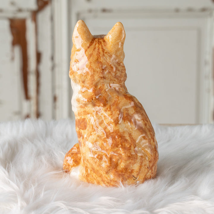 【Winstanley Cat ウィンスタンレイ キャット】モフモフの毛並みや尻尾が魅力的 ジンジャー 長毛 茶トラ猫 /25J