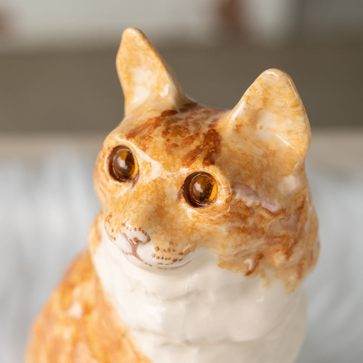 【Winstanley Cat ウィンスタンレイ キャット】モフモフの毛並みや尻尾が魅力的 ジンジャー 長毛 茶トラ猫 /25J