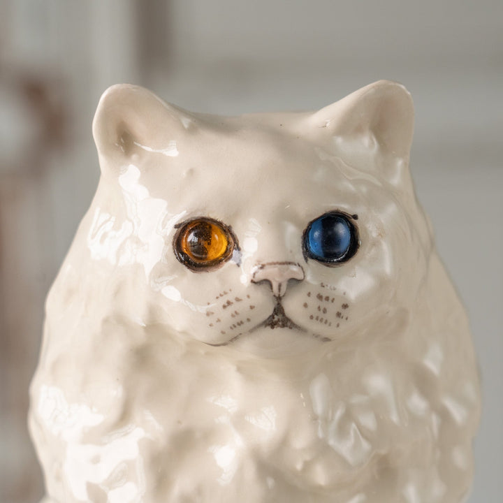 【Winstanley Cat ウィンスタンレイ キャット】思わず触りたくなるふわふわの毛並みが素敵 オッドアイ スノーウィー 長毛 白猫