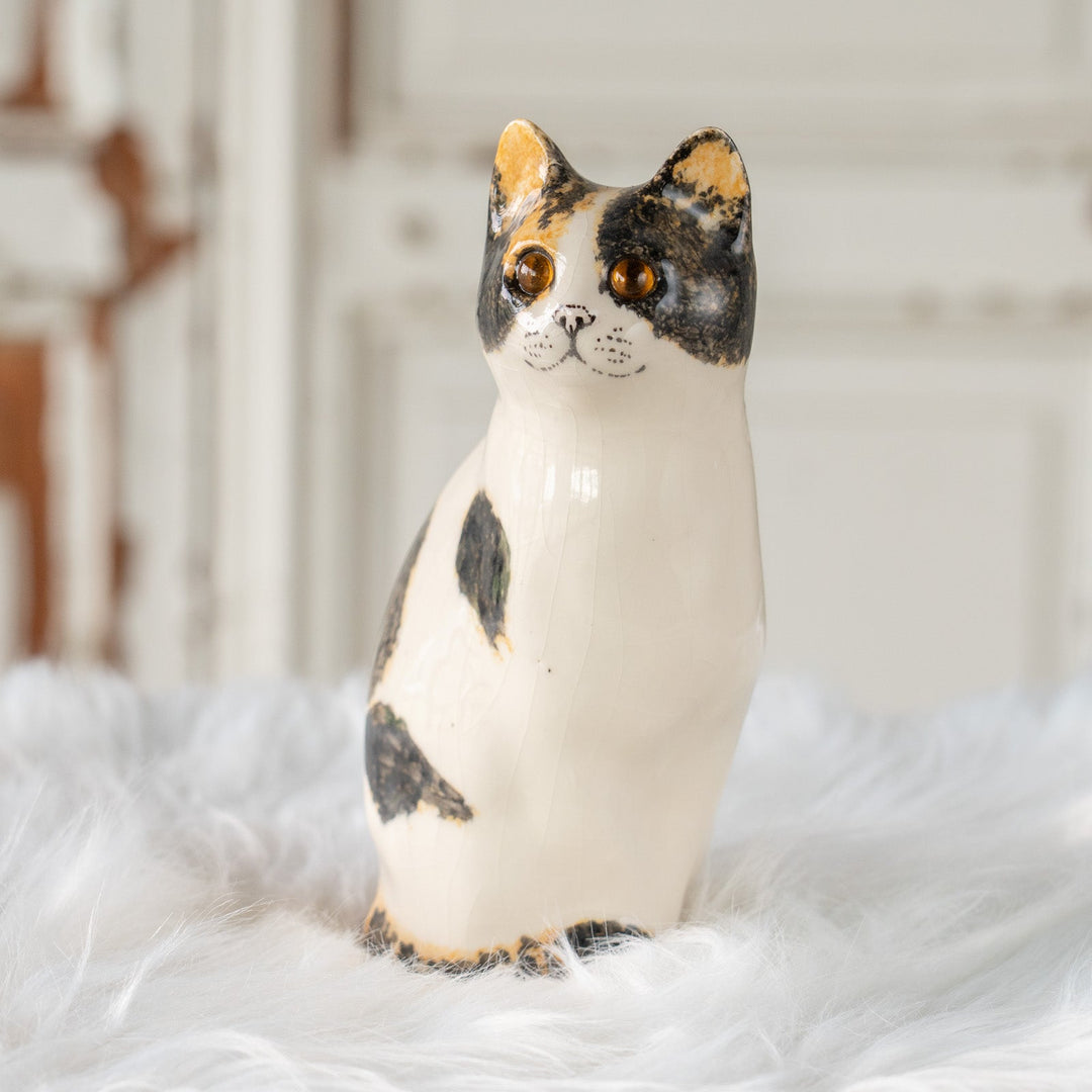 【Winstanley Cat ウィンスタンレイ キャット】気品のある顔立ちとフォルムが魅力 キャリコ 三毛猫 /25J