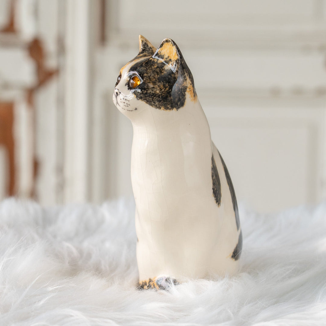 【Winstanley Cat ウィンスタンレイ キャット】気品のある顔立ちとフォルムが魅力 キャリコ 三毛猫 /25J