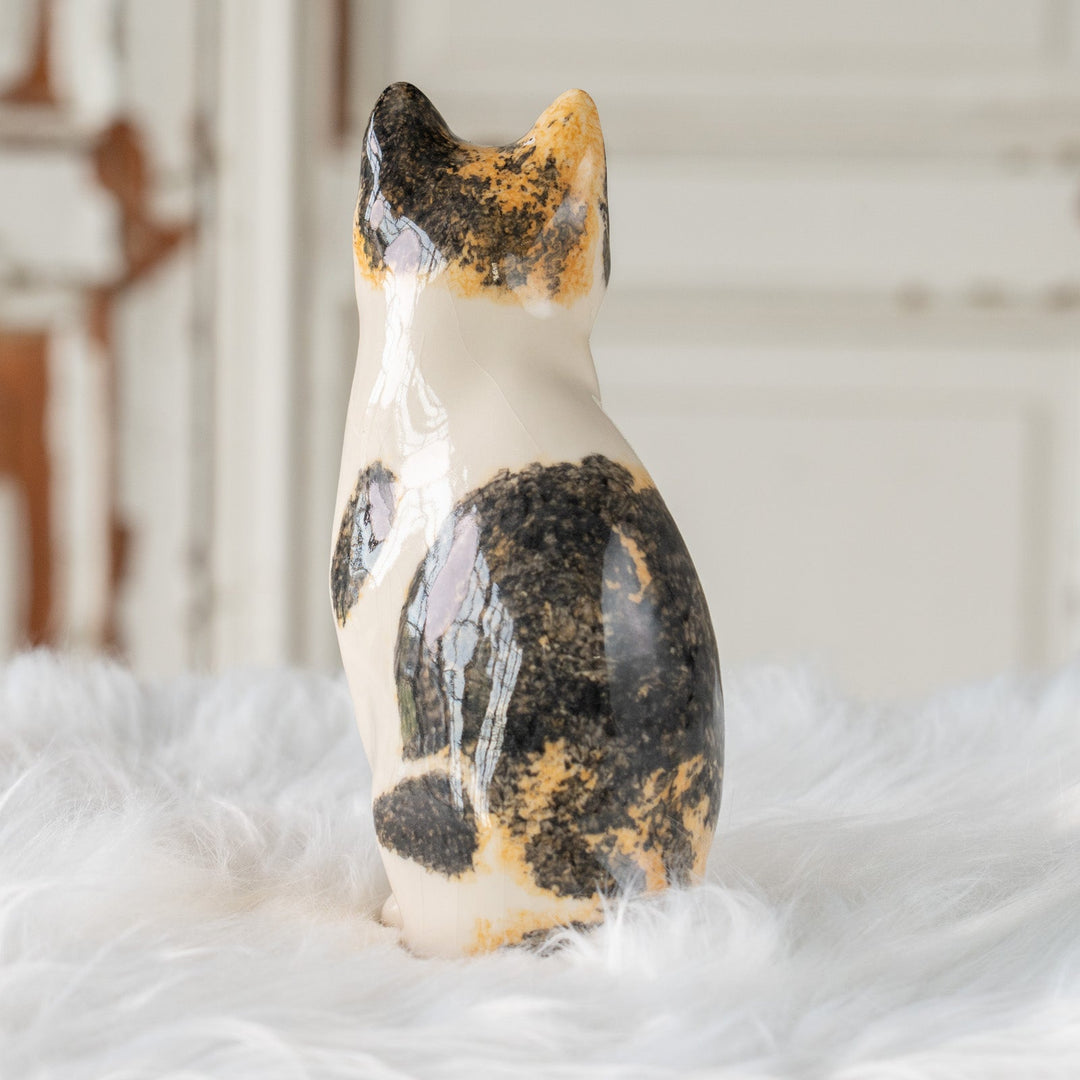 【Winstanley Cat ウィンスタンレイ キャット】気品のある顔立ちとフォルムが魅力 キャリコ 三毛猫 /25J