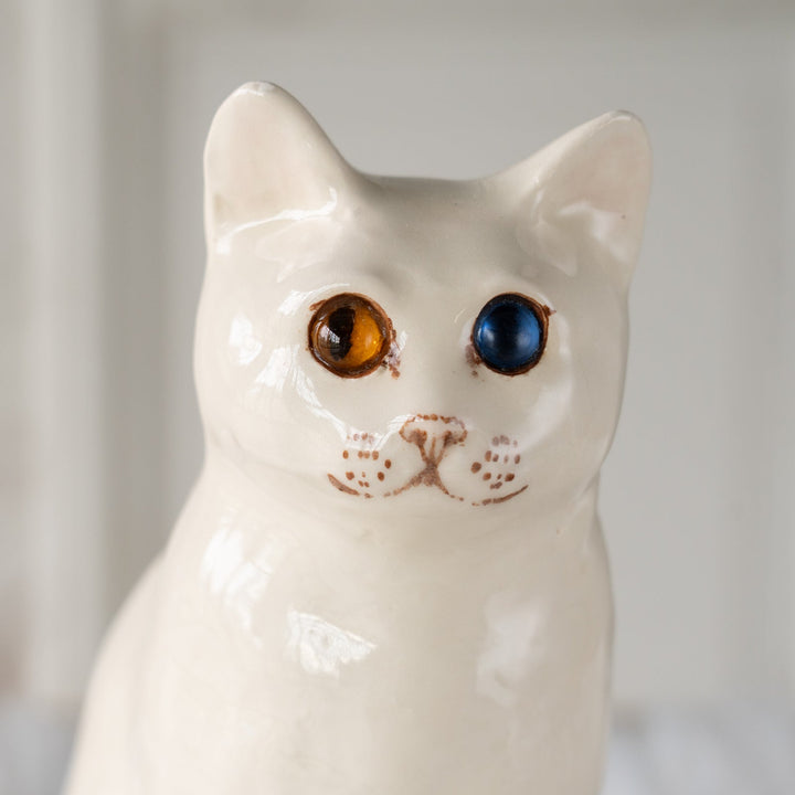 【Winstanley Cat ウィンスタンレイ キャット】モフモフした首回りが上品 オッドアイ スノーウィー 白猫 /25J