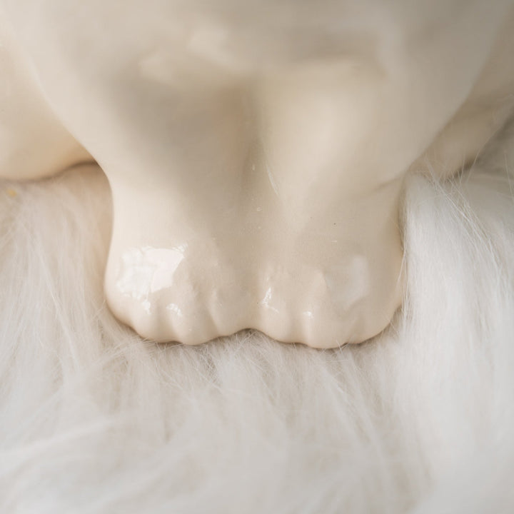 【Winstanley Cat ウィンスタンレイ キャット】モフモフした首回りが上品 オッドアイ スノーウィー 白猫 /25J