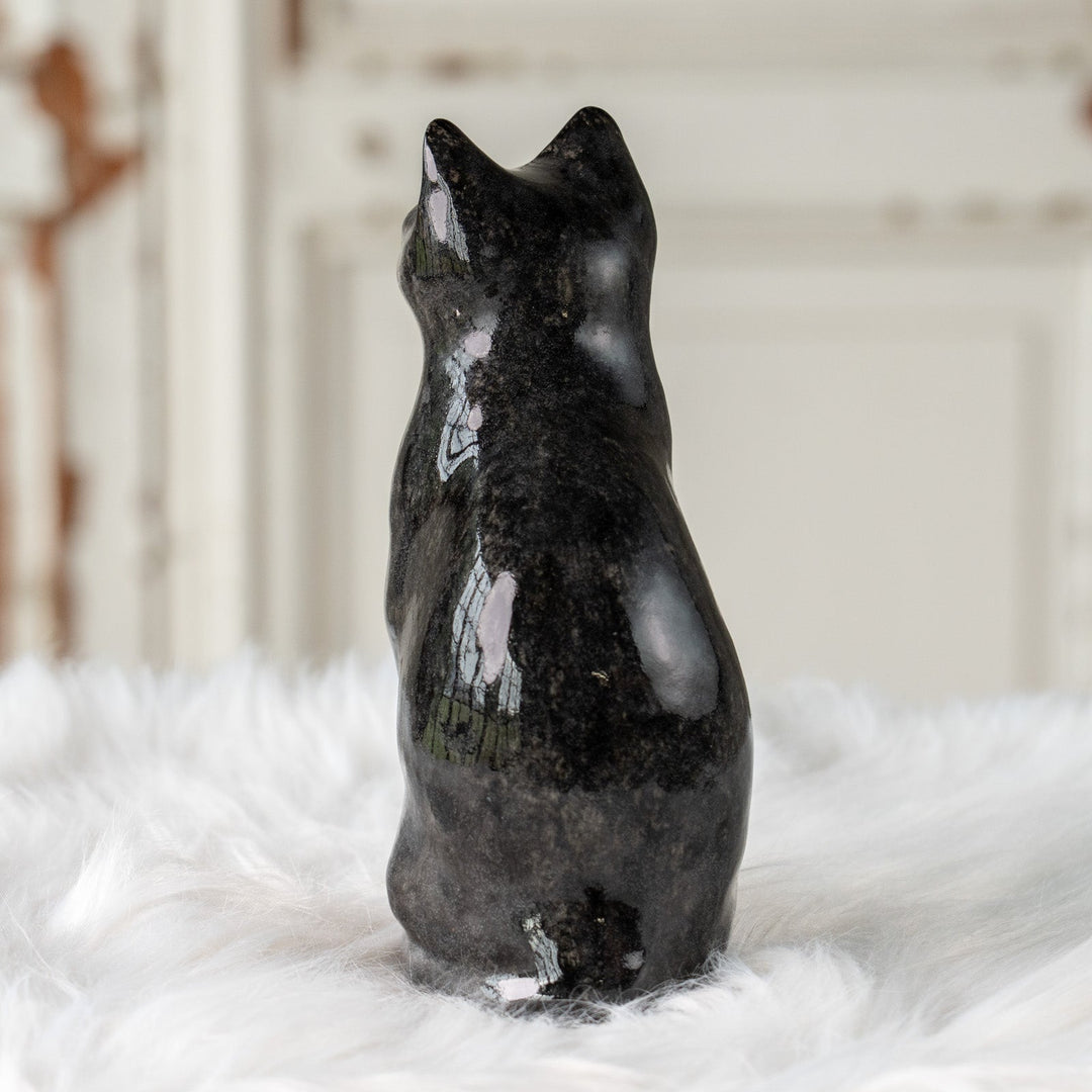 【Winstanley Cat ウィンスタンレイ キャット】ちょこんと座った姿が可愛らしい タキシード 白黒猫 /25J