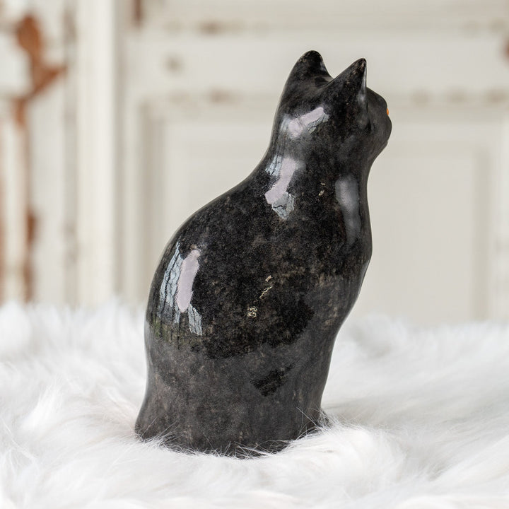 【Winstanley Cat ウィンスタンレイ キャット】ちょこんと座った姿が可愛らしい タキシード 白黒猫 /25J