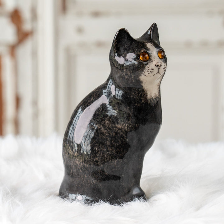 【Winstanley Cat ウィンスタンレイ キャット】気品のある顔立ちとフォルムが魅力 タキシード 白黒猫 /25J