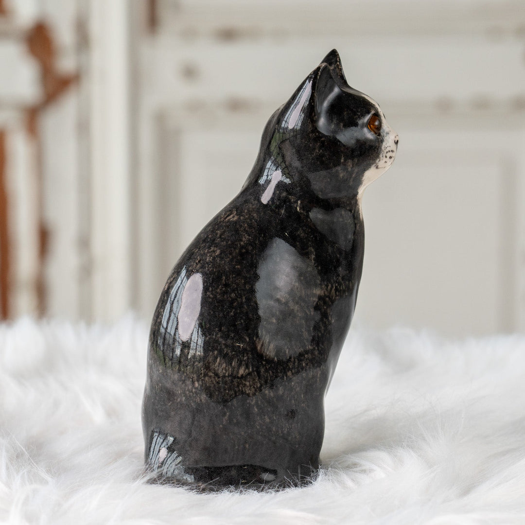 【Winstanley Cat ウィンスタンレイ キャット】気品のある顔立ちとフォルムが魅力 タキシード 白黒猫 /25J