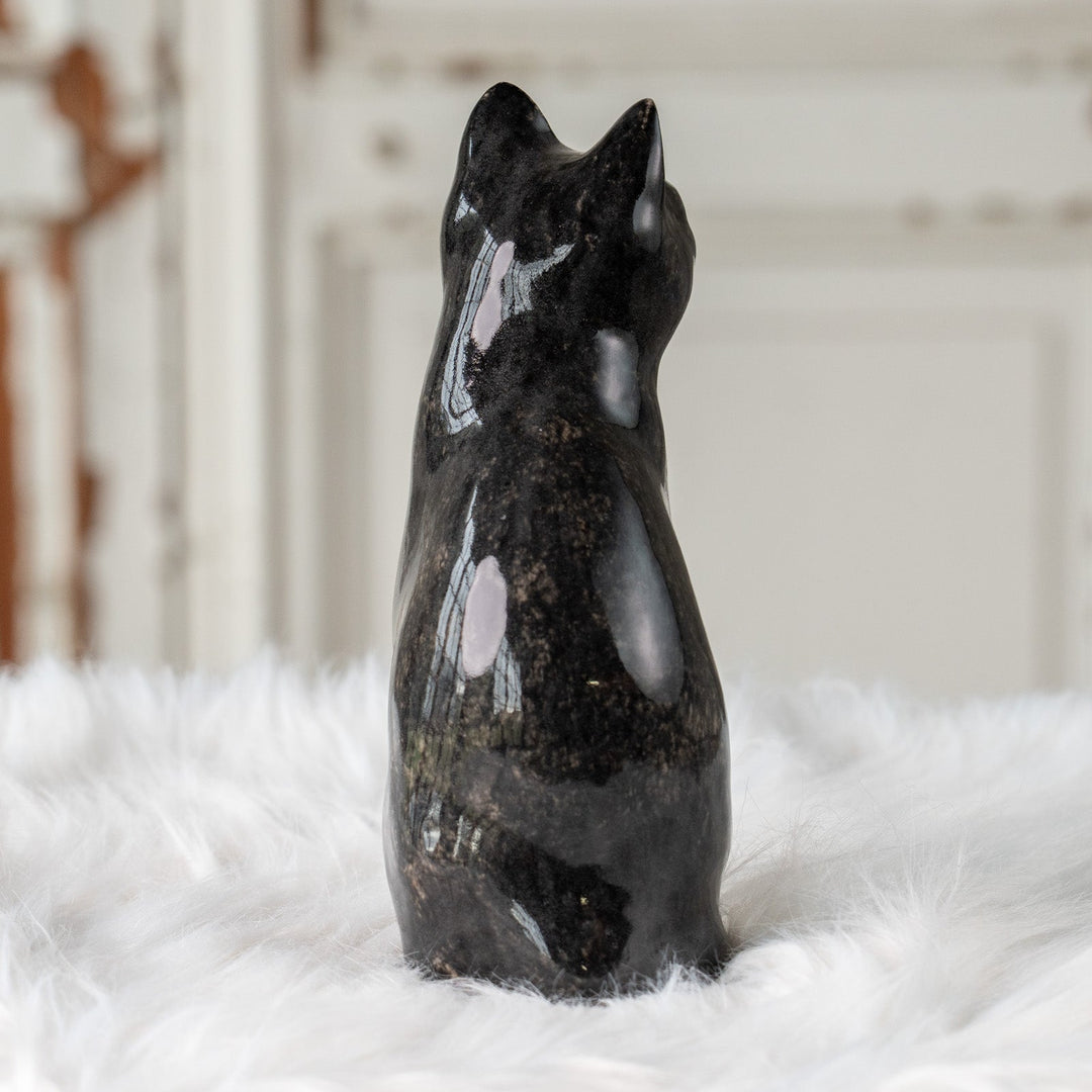 【Winstanley Cat ウィンスタンレイ キャット】気品のある顔立ちとフォルムが魅力 タキシード 白黒猫 /25J