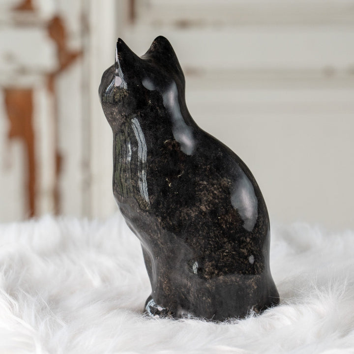 【Winstanley Cat ウィンスタンレイ キャット】気品のある顔立ちとフォルムが魅力 タキシード 白黒猫 /25J