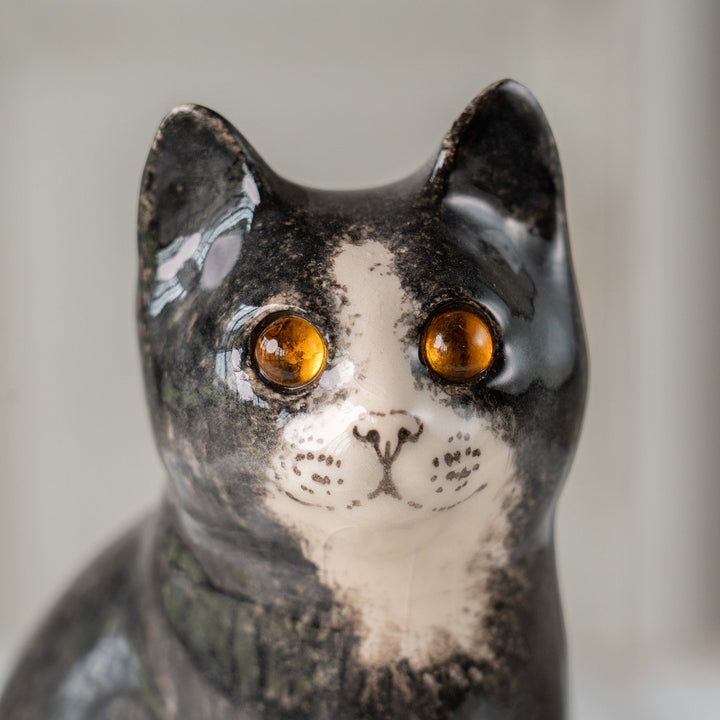 【Winstanley Cat ウィンスタンレイ キャット】気品のある顔立ちとフォルムが魅力 タキシード 白黒猫 /25J