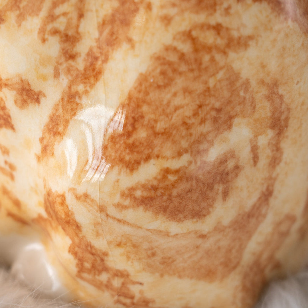 【Winstanley Cat ウィンスタンレイ キャット】くるんと丸めた尻尾が印象的 ジンジャー 茶トラ猫 /25J