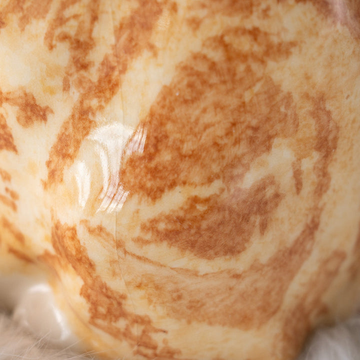 【Winstanley Cat ウィンスタンレイ キャット】くるんと丸めた尻尾が印象的 ジンジャー 茶トラ猫 /25J