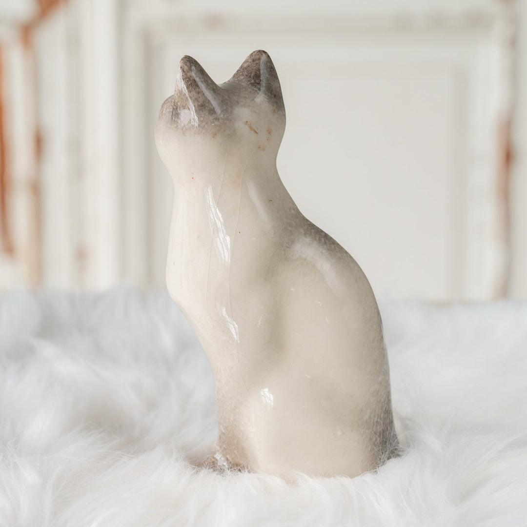 【Winstanley Cat ウィンスタンレイ キャット】しなやかなボディにブルーアイが美しい サイアミーズ シャム猫 /25J