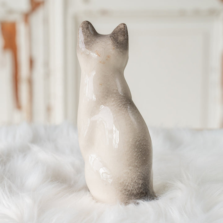 【Winstanley Cat ウィンスタンレイ キャット】しなやかなボディにブルーアイが美しい サイアミーズ シャム猫 /25J